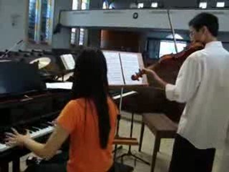 One Piece - Bink's sake Violon