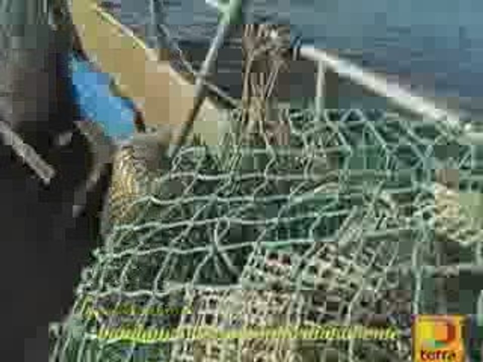 Un OVNI en las costas de galicia