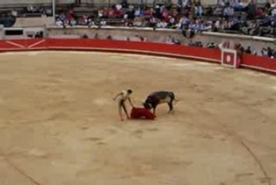 Novillada de La Quinta: Thomas Dufau