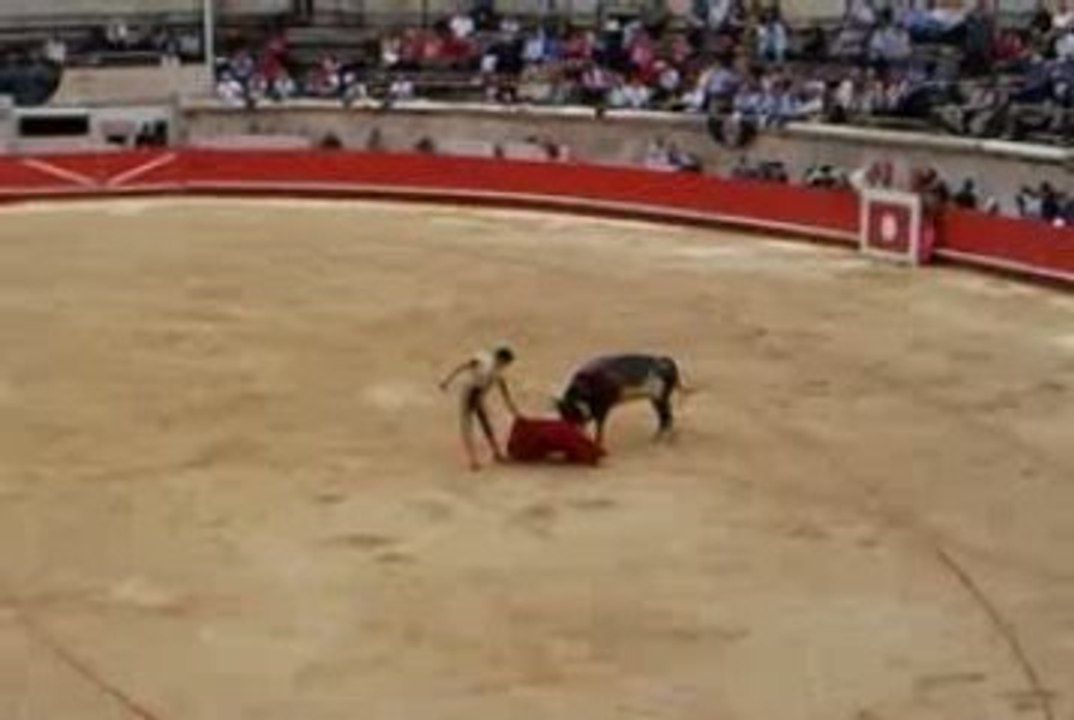 Novillada de La Quinta: Thomas Dufau