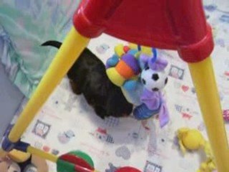 les  bébés ont 1 mois demain