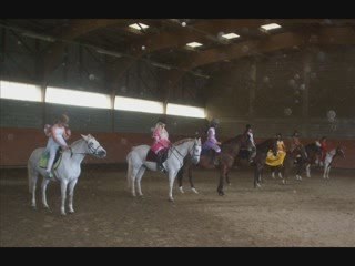 journée du cheval à larequille
