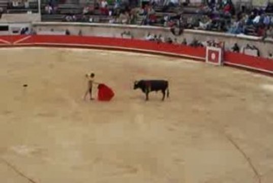 Novillada de La Quinta Thomas DUFAU 2d