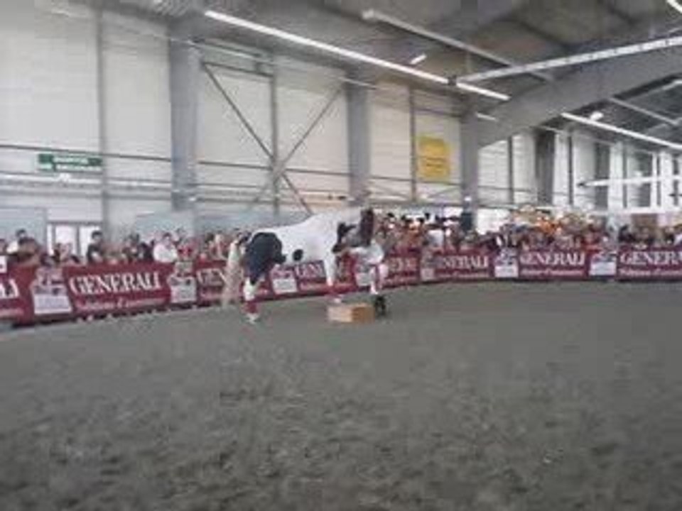 Tao & Bianca - Equid'espace 2009