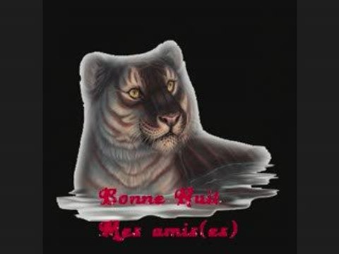 bonne nuit mes amies,amis