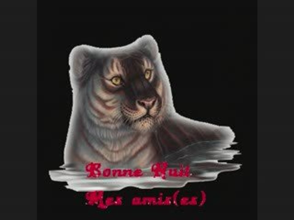 bonne nuit mes amies,amis