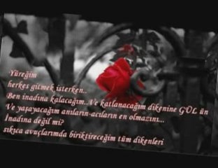 zara buruk acı by kaya