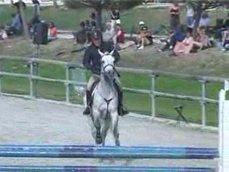 Punch du Mesnil au SolognPony2009 1er jour