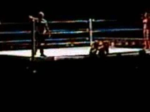 Melina & Eve Torres VS Layla & Michelle Mc Cool