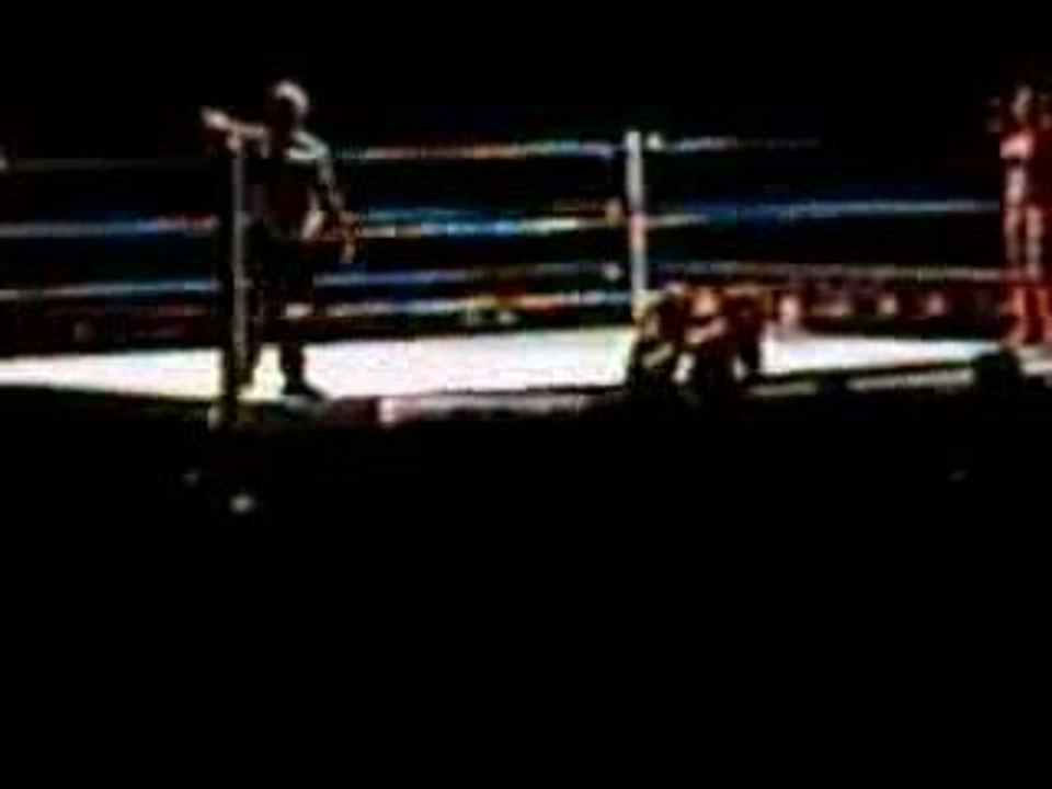 Melina & Eve Torres VS Layla & Michelle Mc Cool