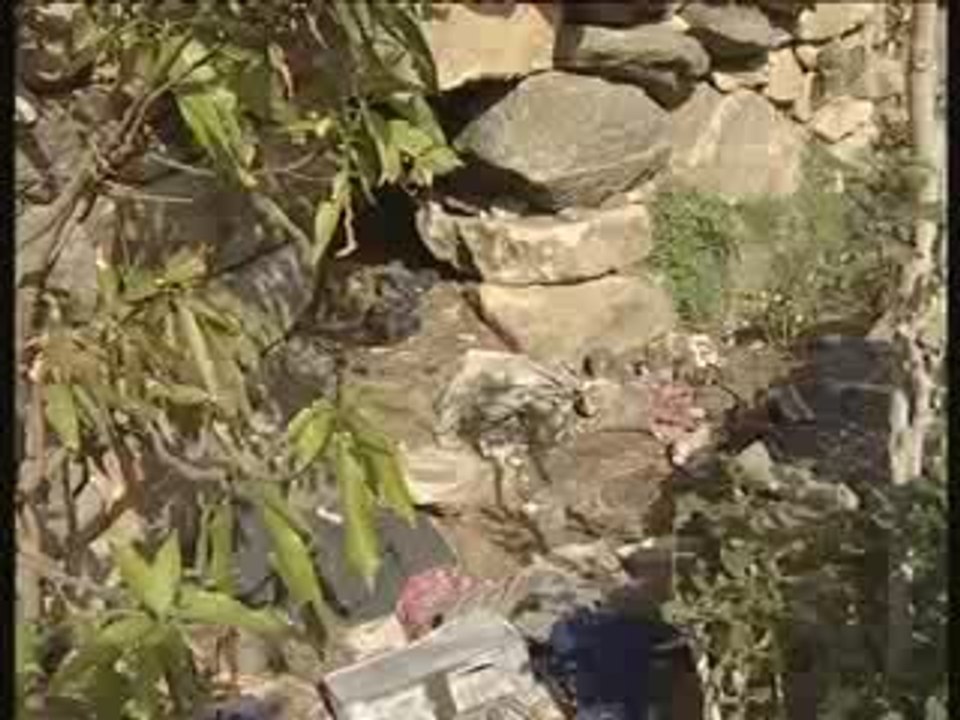 جحور ومتارس الارهابيين الحوثيين في صعدة