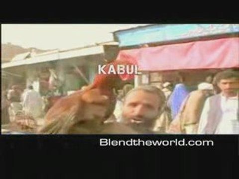 Lokale Künstler verbreiten die Botschaft der Hoffnung über d