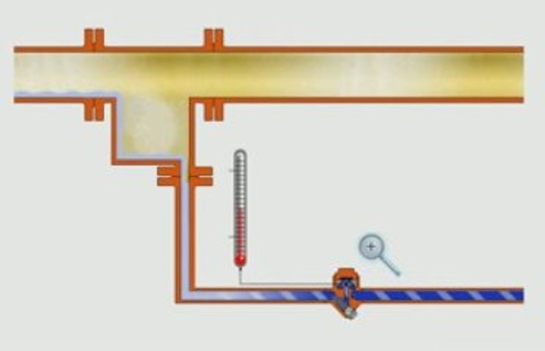 stem_main