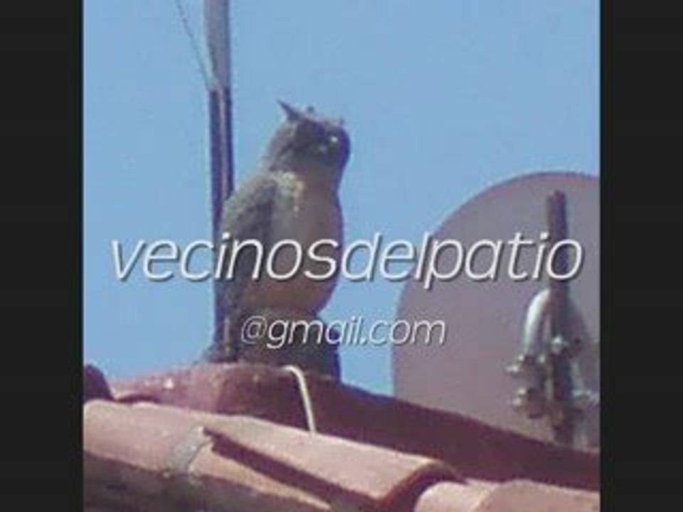 VECINOS DEL PATIO MARAVILLAS 02