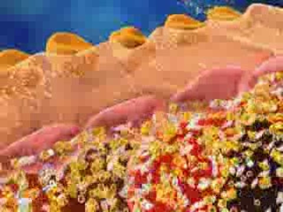 Diabetic Nephropathy