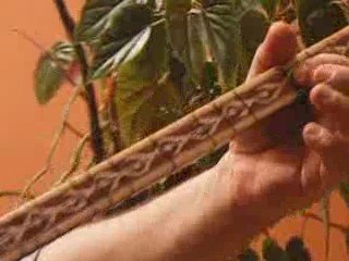 Couch surfing en Bretagne août 2009 245 Quimper