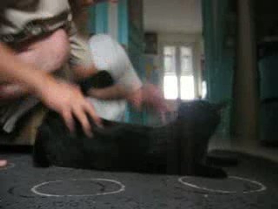 Chat Comique