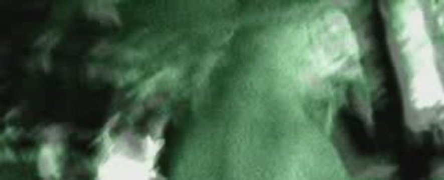 VAMPYRES - sable noir II bande annonce