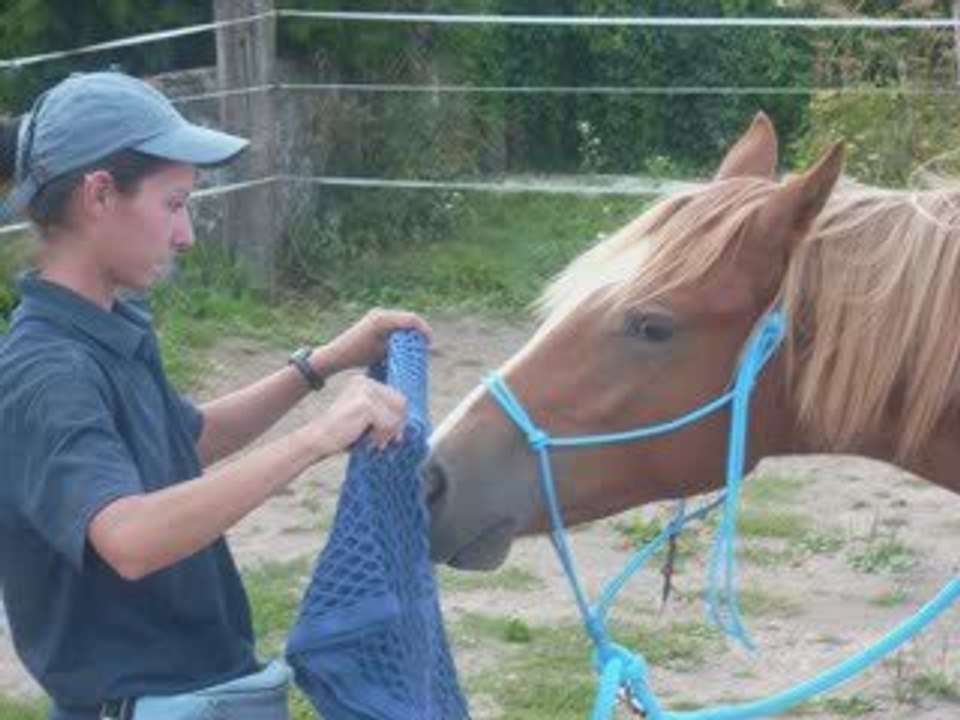 ulis et moi seance d'etho!