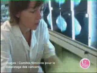 octobre rose contre le cancer du sein