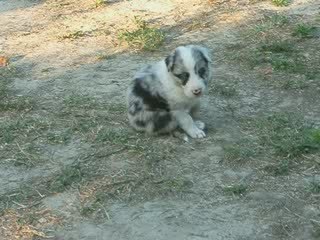 Quel plaisir de sortir dans le jardin !!!!