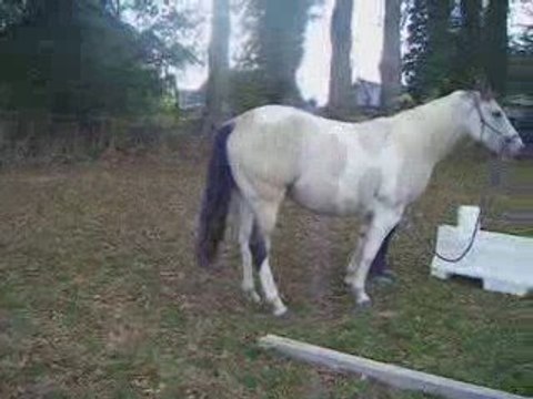 shine épaule 01/10/09