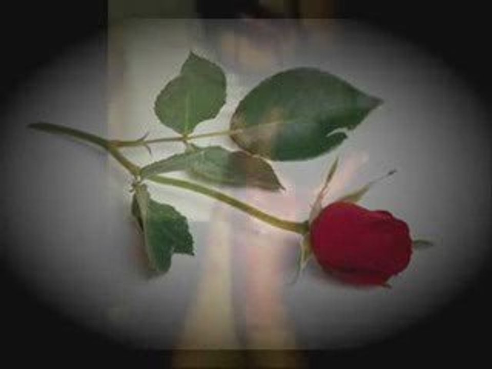 Dj Emos Vs Mehmet Murat Ft Burak Utaniyorum Senden