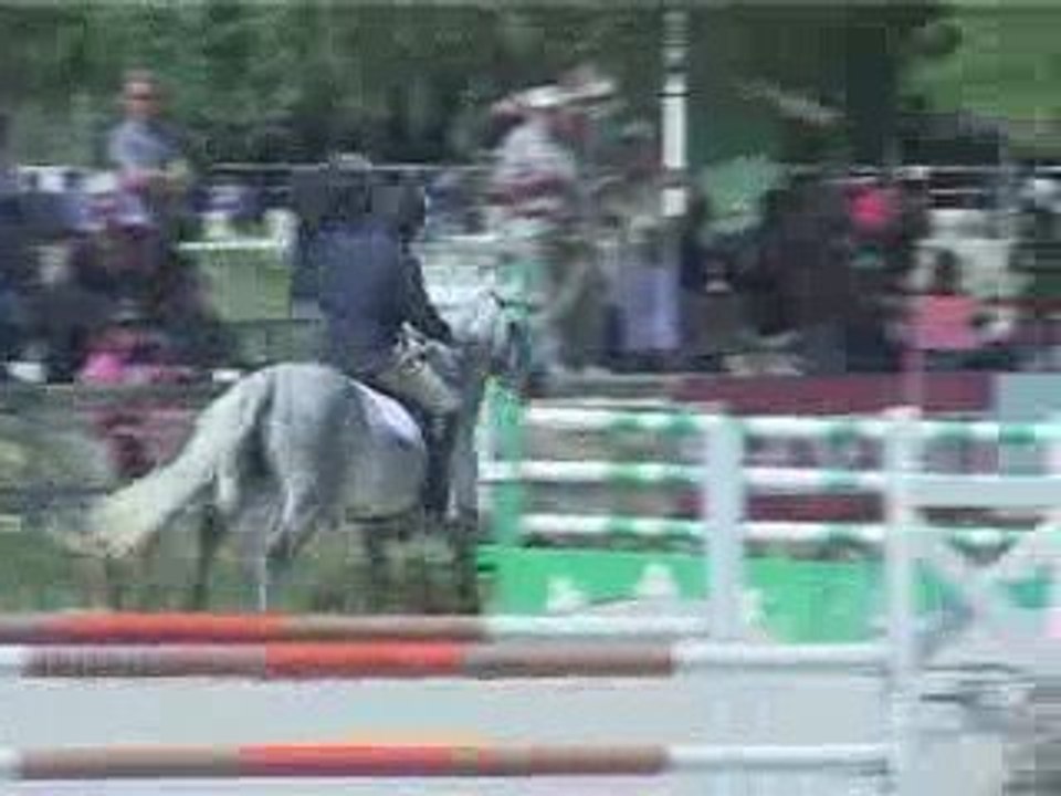 Punch du Mesnil au SolognPony2009 à la finale