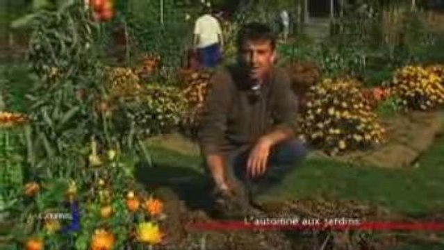 Jardinage : Le paillage (Vendée)