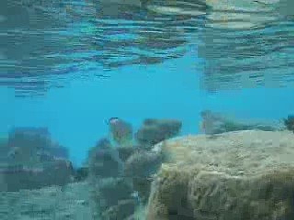 piscine naturelle de l'île des Pins III