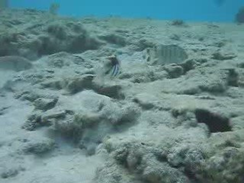 piscine naturelle de l'île des Pins II