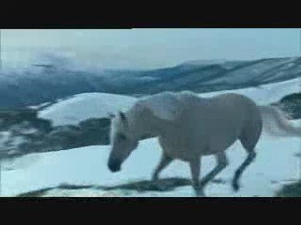 Les chevaux dans la nature compilation