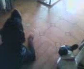 Mon rott est fan vitaa