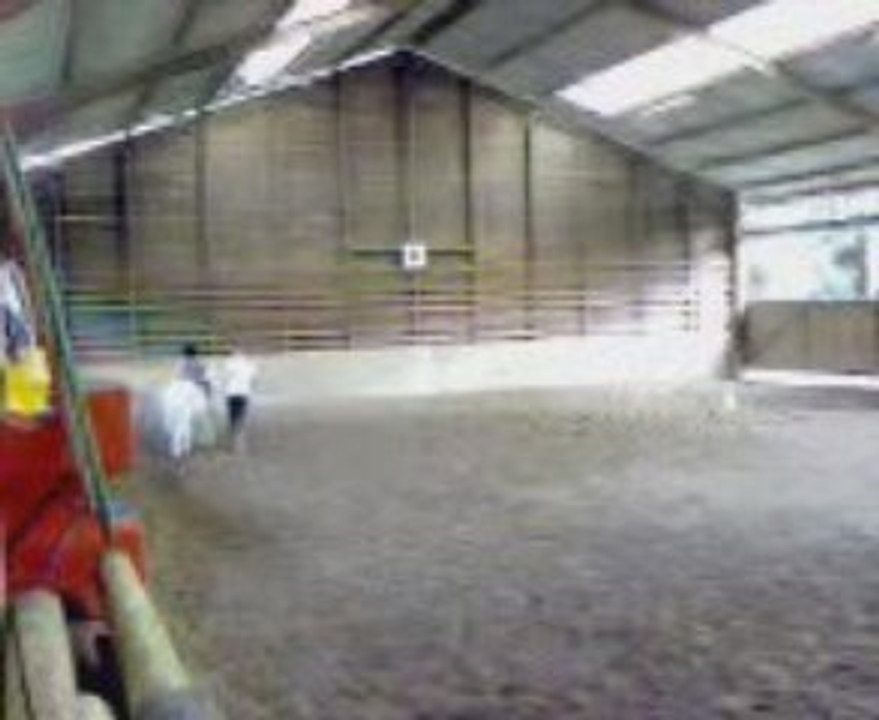 Simon le trot rigolo