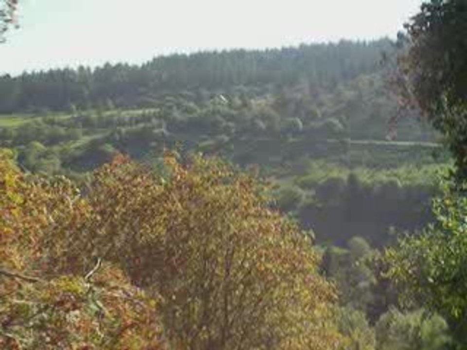 Massif du Sancy: Panoramique