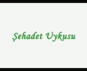 şehid / şehit aydın kaya