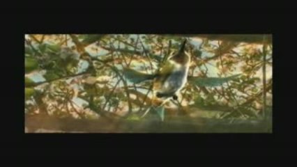 he-was-a-quiet-man-trailer