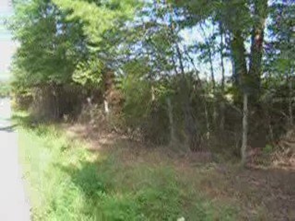 Buy Land In Louisa County, Land For Sale Louisa
