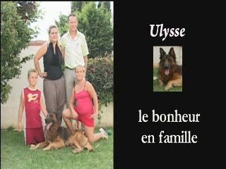 Ulysse: le bonheur en famille