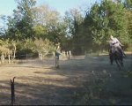 Entrainement à cheval