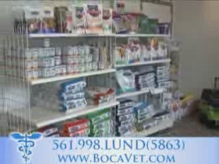 http://www.bocavet.com- delray beach, veterinarian