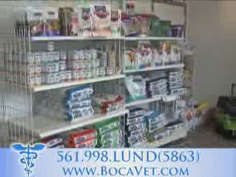 bocavet.com- delray beach, veterinarian