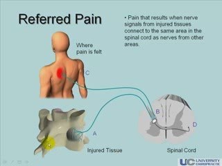 Seattle Chiropractor-Causes of Pain Seattle