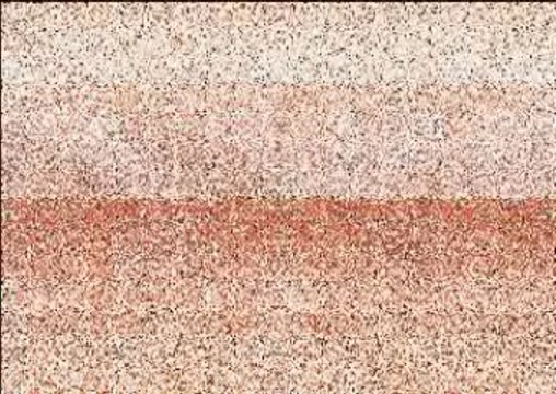 promenade a cheval plage ranch fumat