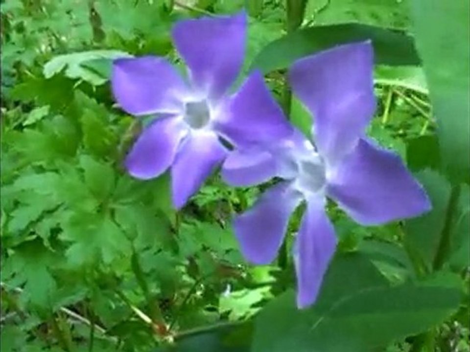 Nature et couleurs