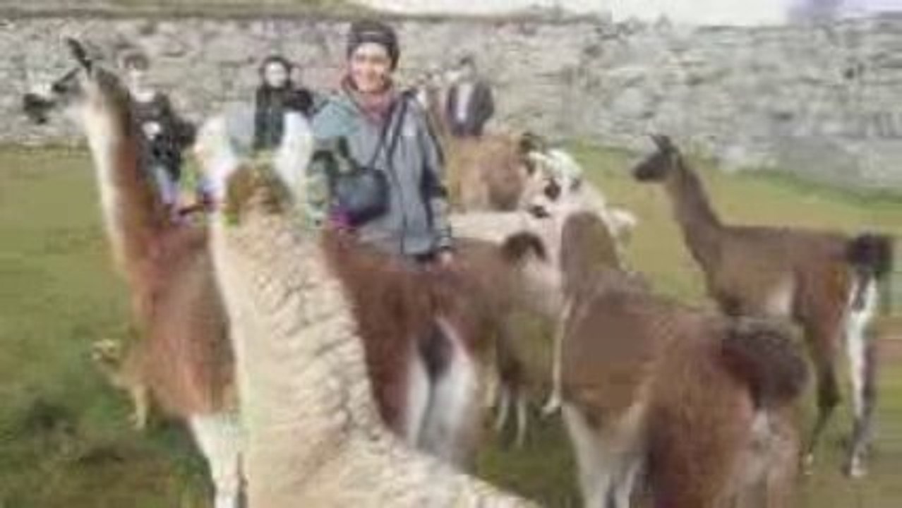 céline lama machu pichu