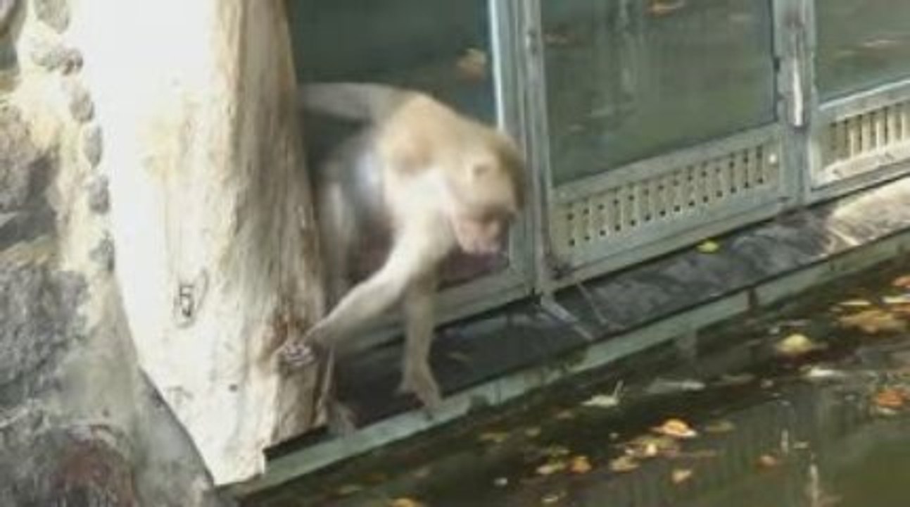 Zooausstellung krefeld