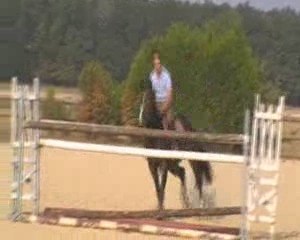 Parlise Jument AA 6ans