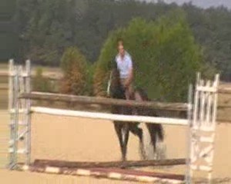 Parlise Jument AA 6ans