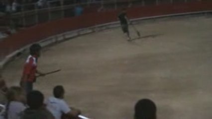 taureau piscine grande motte